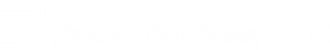 Basler Services Logo